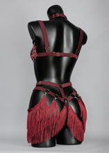 Load image into Gallery viewer, ALABAMA - Fringed Lace Shimmy Briefs & Shelf Bra Set